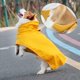 thumbnail image 2 of Pet it Teddy Koch Ropa para mascotas Golden Hair Egg Ylk Man Belly Chubasquero para perros grandes Suministros para perros de PU, 2 of 6