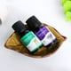 thumbnail image 4 of Aromatherapy Water Soluble Oil Aromatherapy Suitable For Humidifier 10ml, 4 of 5