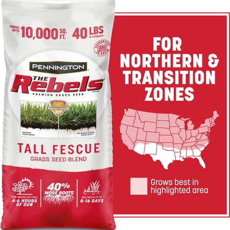 Pennington Rebels Tall Fescue Grass Seeds for Lawn, for Sun to Partial Shade, 40 lb