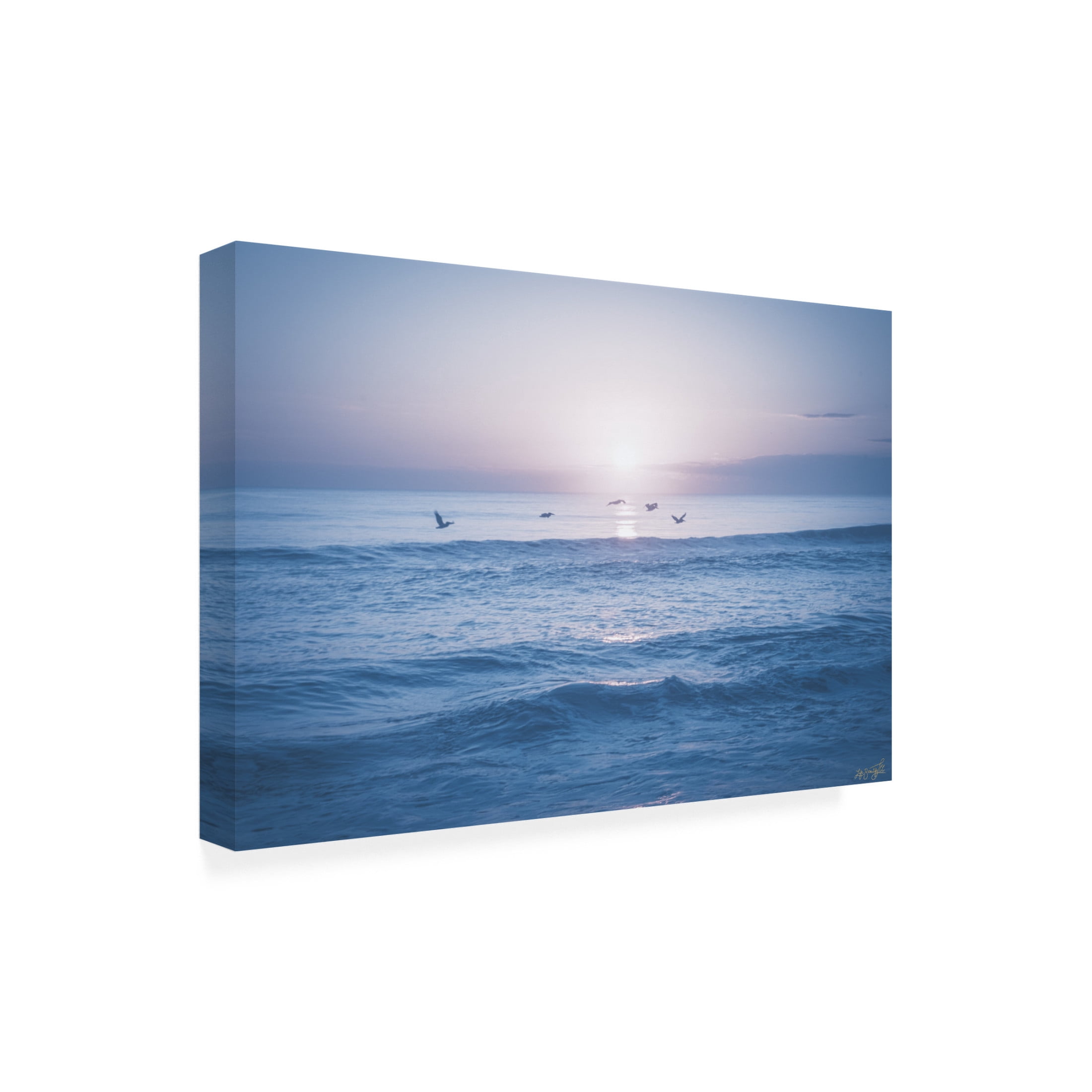 Canvas Wall Art - Life BeautifuLEE 'Ocean Birds In Flight' Wall Art for Living Room, Bedroom, or Office Décor by Trademark Fine Art - 24 x 16 Inches
