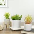 thumbnail image 2 of 5.5" Mixed Artificial Succulent Arrangement in a White Pot, 2 of 5