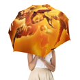 thumbnail image 2 of Solo : une Histoire de Star Wars Parapluie Semi-Automatique Pliable, 2 of 5