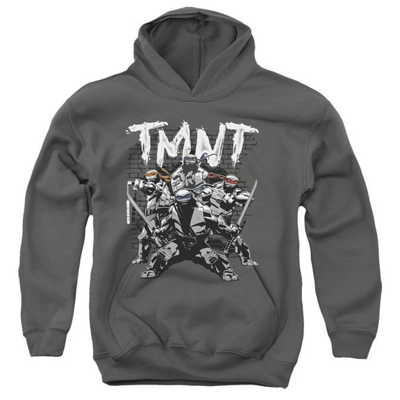 TMNT Teenage Mutant Ninja Turtles TMNT Team Unisex Youth Pull-Over Hoodie
