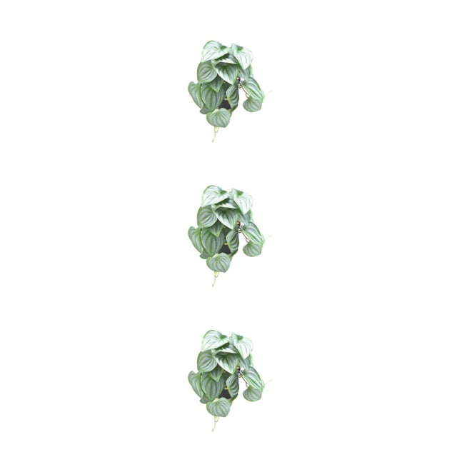 Injueey Hojas artificiales de plástico ABS, amigables con la piel y seguras para reptiles, plantas degradables, hojas artificiales de sandía Type1 NO1