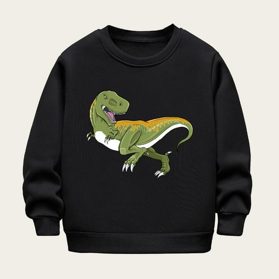 NAISIBABY Boys Sweatshirt, Crew Neck Long Sleeve Dinosaur Prints Pullover Tops Black 3-4T