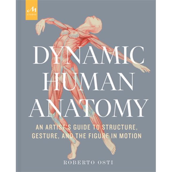 Pre-Owned Dynamic Human Anatomy: An Artist's Guide to Structure, Gesture, and the Figure in Motion Hardcover