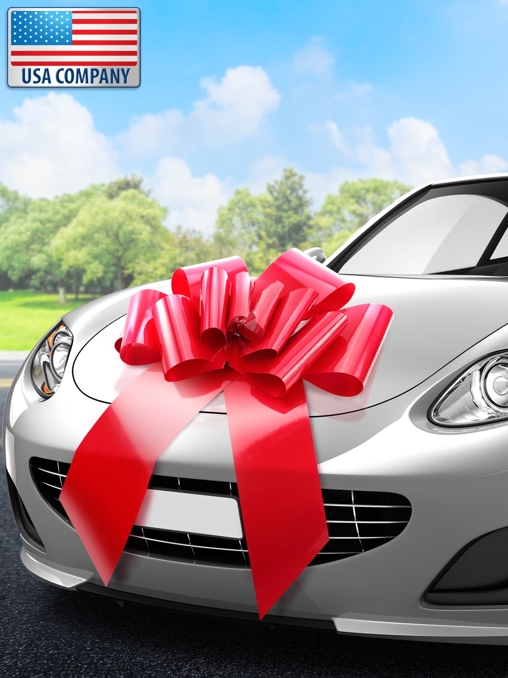 MIFFLIN 30-Inch Giant Red Butterfly Car Gift Bow photo 1
