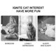 thumbnail image 3 of Tease Cats Rods Laser Stick Juguetes Divertidos Gatos Mascota Juguete Interactivo Entrenamiento De Cachorros seitruly PT001543-02, 3 of 6