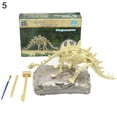 thumbnail image 4 of HAOAN Dinosaur Skeleton Excavation Dig up Kit DIY Assembly Educational Kids Toy Display Mold, 4 of 9