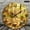 12x12in, variant on NIANHE 1pc Country Baking Window Table Theme No AA Battery Lncluded, 10 inch Silent Non Ticking Round Wall Clock Lobby Corridor Dining Room Bedroom Office Classroom