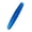Blue, variant on RADIUS Standard Toothbrush Case