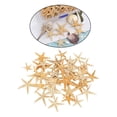 thumbnail image 3 of Conchas De Estrella De Mar Naturales, Exhibición De Boda, Decoración Artesanal Para Acuario, 2-3cm, 50 Uds. Sunnimix artesanías conchas marinas, 3 of 8