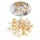 thumbnail image 3 of Conchas De Estrella De Mar Naturales, Exhibición De Boda, Decoración Artesanal Para Acuario, 2-3cm, 50 Uds. Sunnimix artesanías conchas marinas, 3 of 8