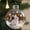 Rabbit, variant on 2026 Wildlife Wonders Collection Crystal Glass Ornament, Vivid 3D Animal Christmas Decoration, Luxury Winter Holiday Tree Dcor & Gifts, Christmas Ornaments Balls Winter Holiday