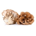 thumbnail image 4 of Hongo Adaptógeno Maitake 45g Commons Polvo 100% Orgánico Original, 4 of 8