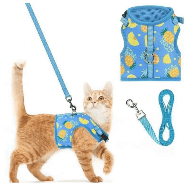 Bamboohart 3Pcs Cat Harness Polyester Material Adjustable Leash Reflective Small Cats Cat Harness and Leash 150cm Blue Style8