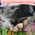 thumbnail image 5 of 1pcs Axolotl Hides for Aquarium with 2pcs Nitrifying Ball Set, Driftwood Axolotl Cave Hideout and Aquarium Filter Balls, Fish Tank Decor, Shelter for Small Pet Frog Fish Betta, 5 of 7