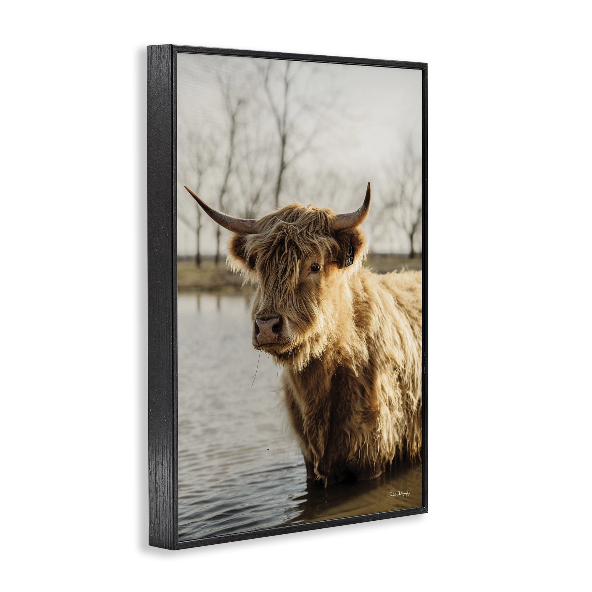 Stupell Industries Peering Cattle in Water Animals & Insects Photography Black Framed Art Print Wall Art, 12 x 18