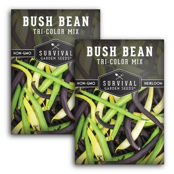 2 Packs Tri-Color Mix Bush Bean Seeds - Non-GMO Heirloom Full Sun Annual Vegetable