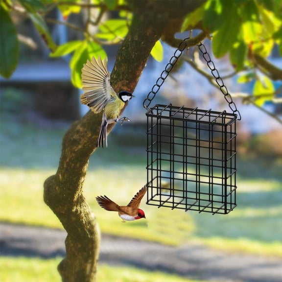 Outdoor Suet Cage Bird Feeder,Wild Bird Feeder, Single Suet Cake Capacity,Fruit and SuetFeeder , BirdSuet CakeFeeder for Hanging Outside Metal Garden Yard Wildbird Woodpeckers Feeding