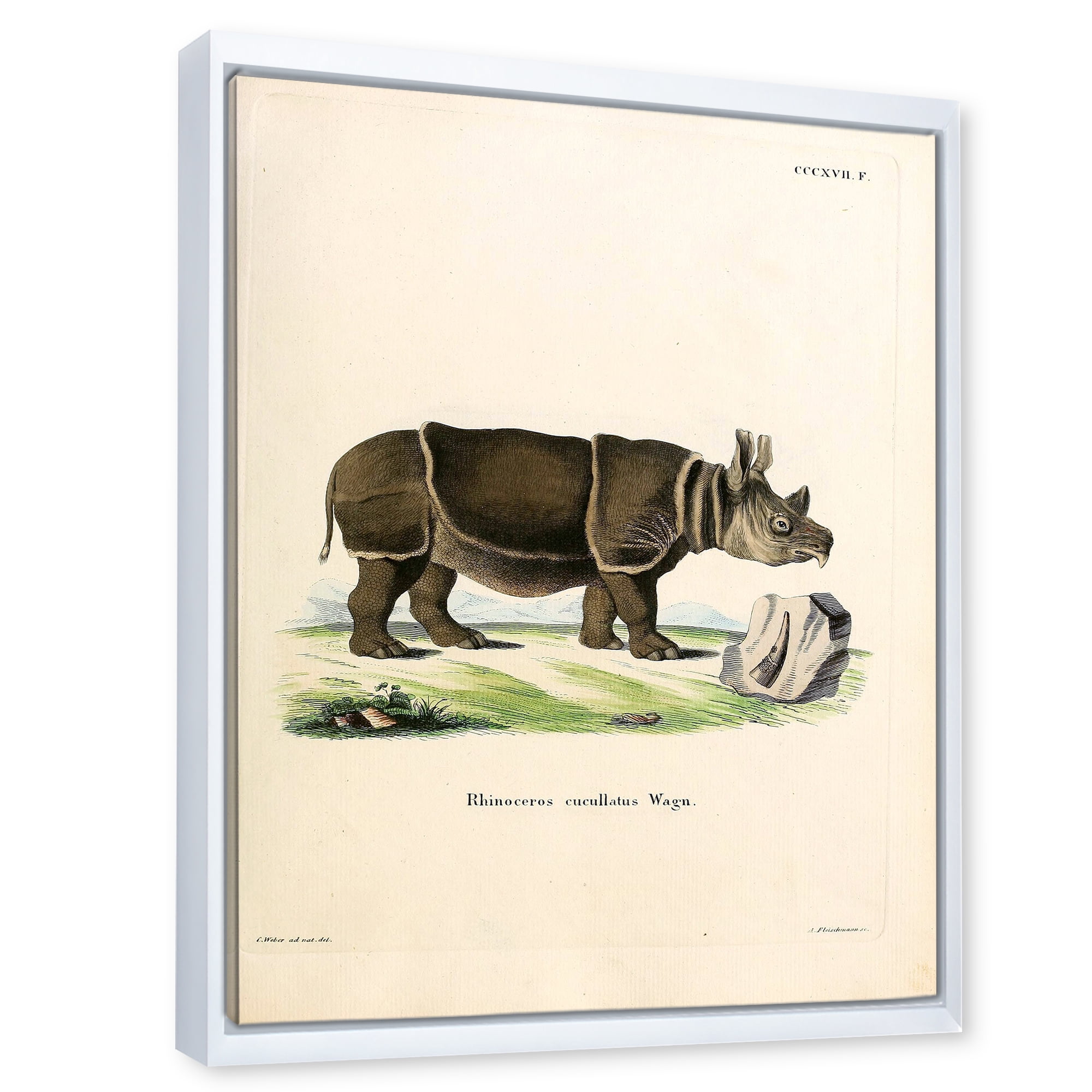 Designart 'Ancient Rhinoceros' Farmhouse Framed Canvas Wall Art Print