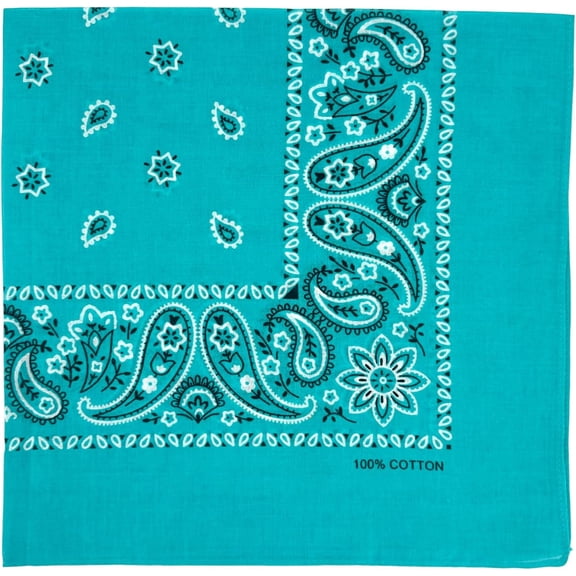 WEIFEI-12 Pack Bandanas Soft Thin Cotton Nice Bandannas Paisley Design