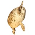 thumbnail image 4 of Muñeco de peluche con forma de león marino, decoración para habitación de juguetes, almohada, muñeco de león marino de felpa, 4 of 8