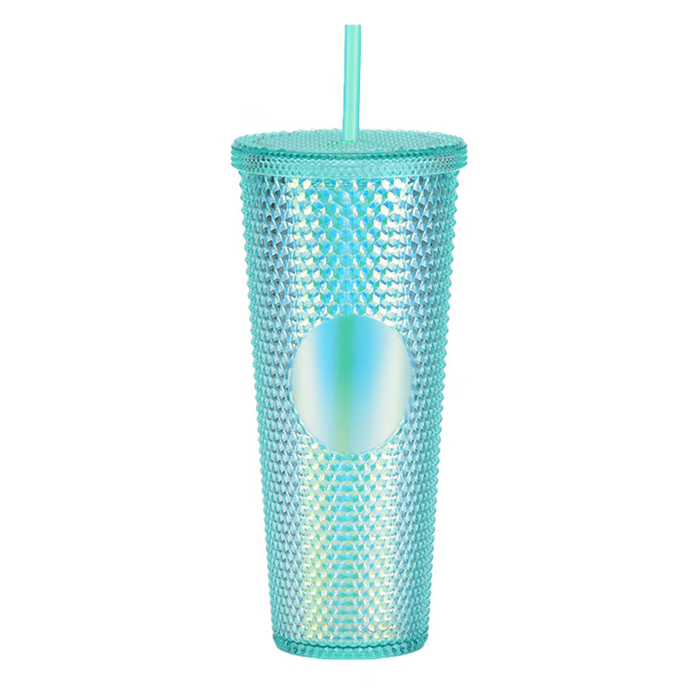24 oz Double Wall Plastic Matte Studded Tumbler with Lid and Straw