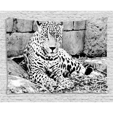 Jungle Friends Wall Hangings (House Decor Tapestry, Jaguar Wild Big Cats Feline with Dots on Body Fur Print Jungle Tiger Leopard, Wall Hanging for Bedroom Living Room Dorm Decor, 80W X 60L Inches, Black)