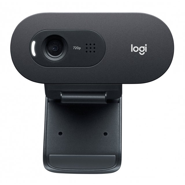 Cámara Web Logitech C505e Logitech 960-001372