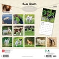 thumbnail image 2 of Baby Goats | 2026 12x24" (Hanging) Square Wall Calendar | Plastic-Free, 2 of 9