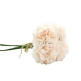thumbnail image 2 of Mdesiwst 5Pcs Faux Flower Decorative Silk Cloth Peony Flower for Birthday, 2 of 5