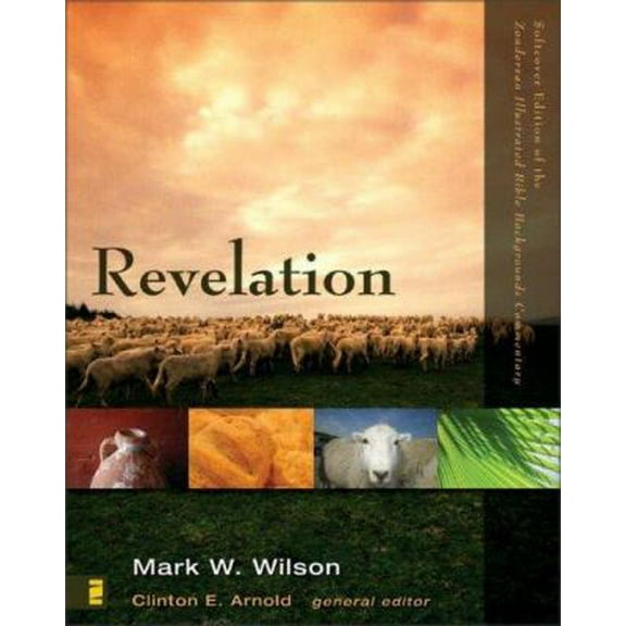 Pre-Owned Revelation (Zondervan Illustrated Bible Backgrounds Commentary) (Paperback) 0310278325 9780310278320
