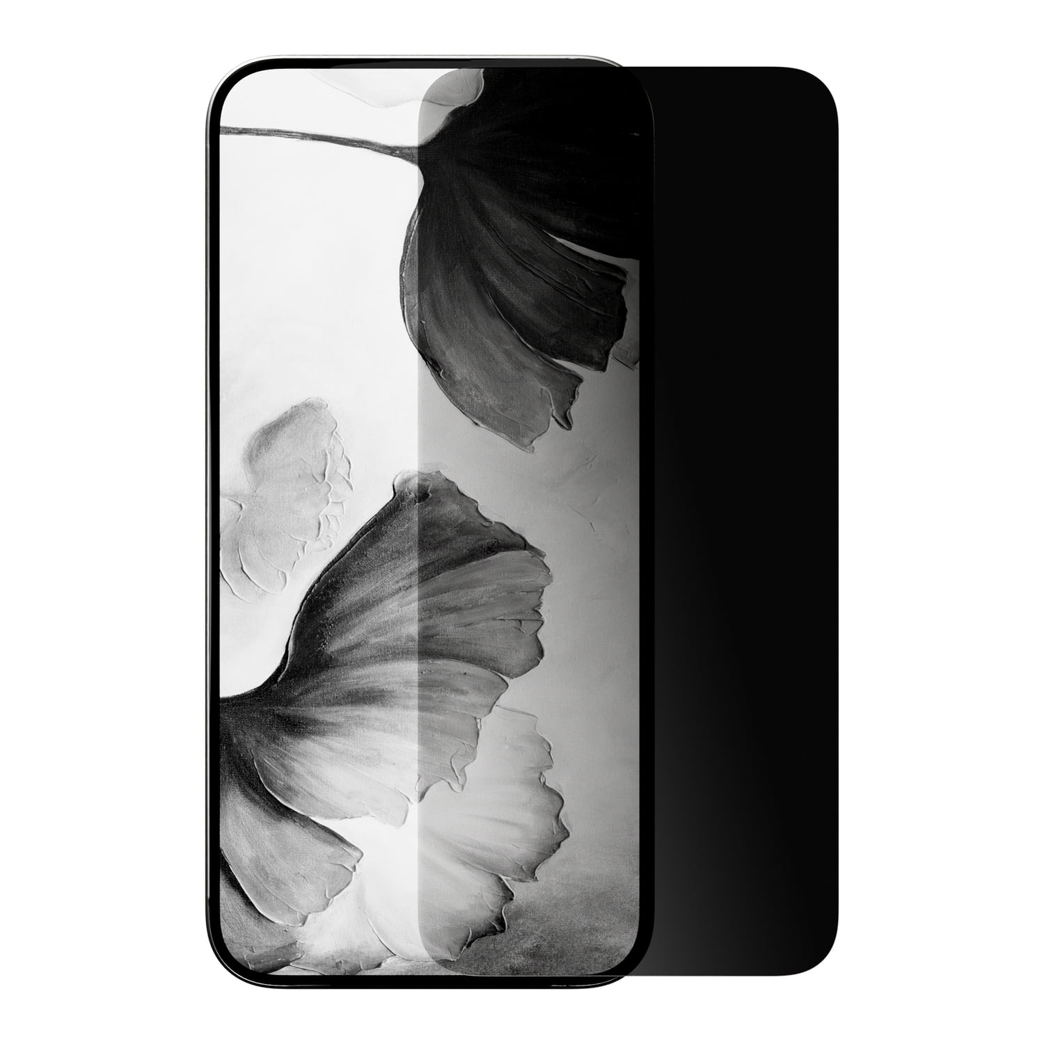 cellhelmet Privacy Tempered Glass Protector with Alignment Tray for Apple iPhone 17/16 Pro, SP-106-C000