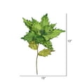 thumbnail image 2 of Vickerman 26" Lime Velvet Poinsettia Artificial Christmas Pick, 3 per Bag, 2 of 3