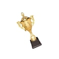 thumbnail image 1 of serony Trophée de Récompense pour Enfants Petits Trophées Récompenses Accessoires pour Compétition Célébrations 25cm, 1 of 9
