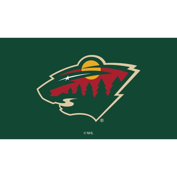 Minnesota Wild 28" x 16" Turf Mat