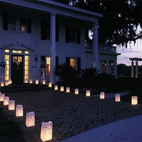 Luminary Bags