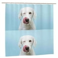 thumbnail image 2 of Sigee Puppy Licks Nose for Waterproof Fabric Shower Curtain 72" W x 72" H for Bathroom Shower Curtain, 2 of 5
