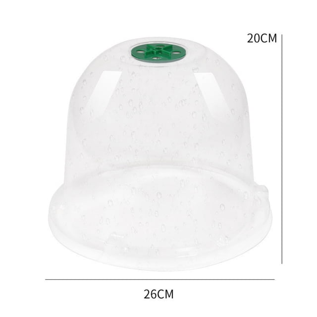 Serre Mini en Plastique Réutilisable, Protection contre le Gel pour Jardinage à Domicile, Plantation Précoce et Semis de Fleurs (Lot de 6)