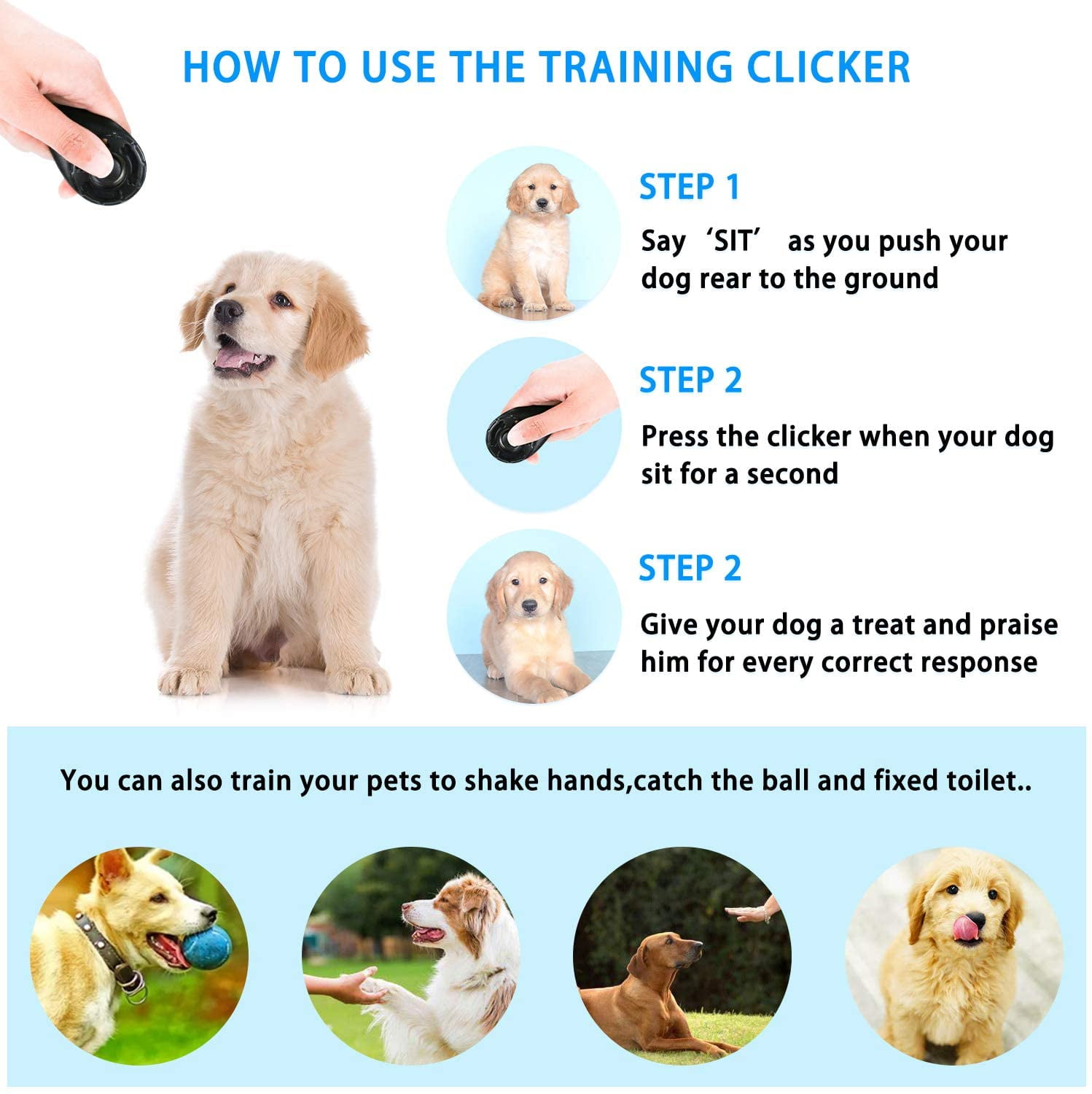 How To Train Your Dog With A Clicker