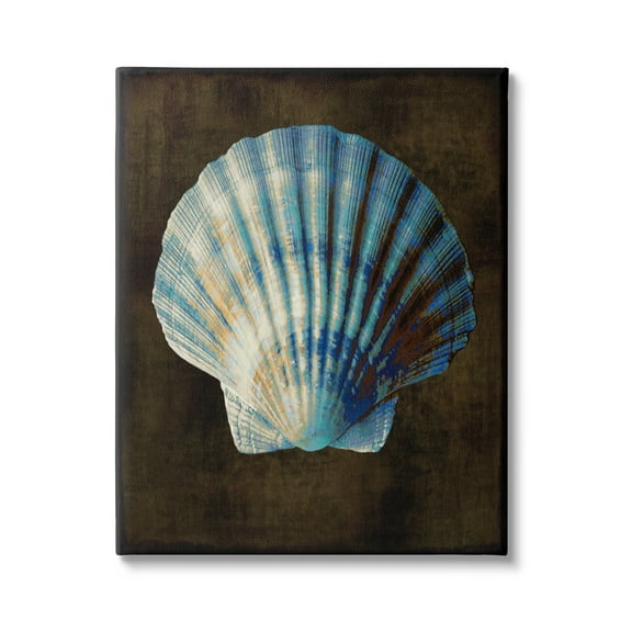 Stupell Industries Dark Clam Shell Nature Painting Gallery Wrapped Canvas Art Print Wall Art, 16 x 20