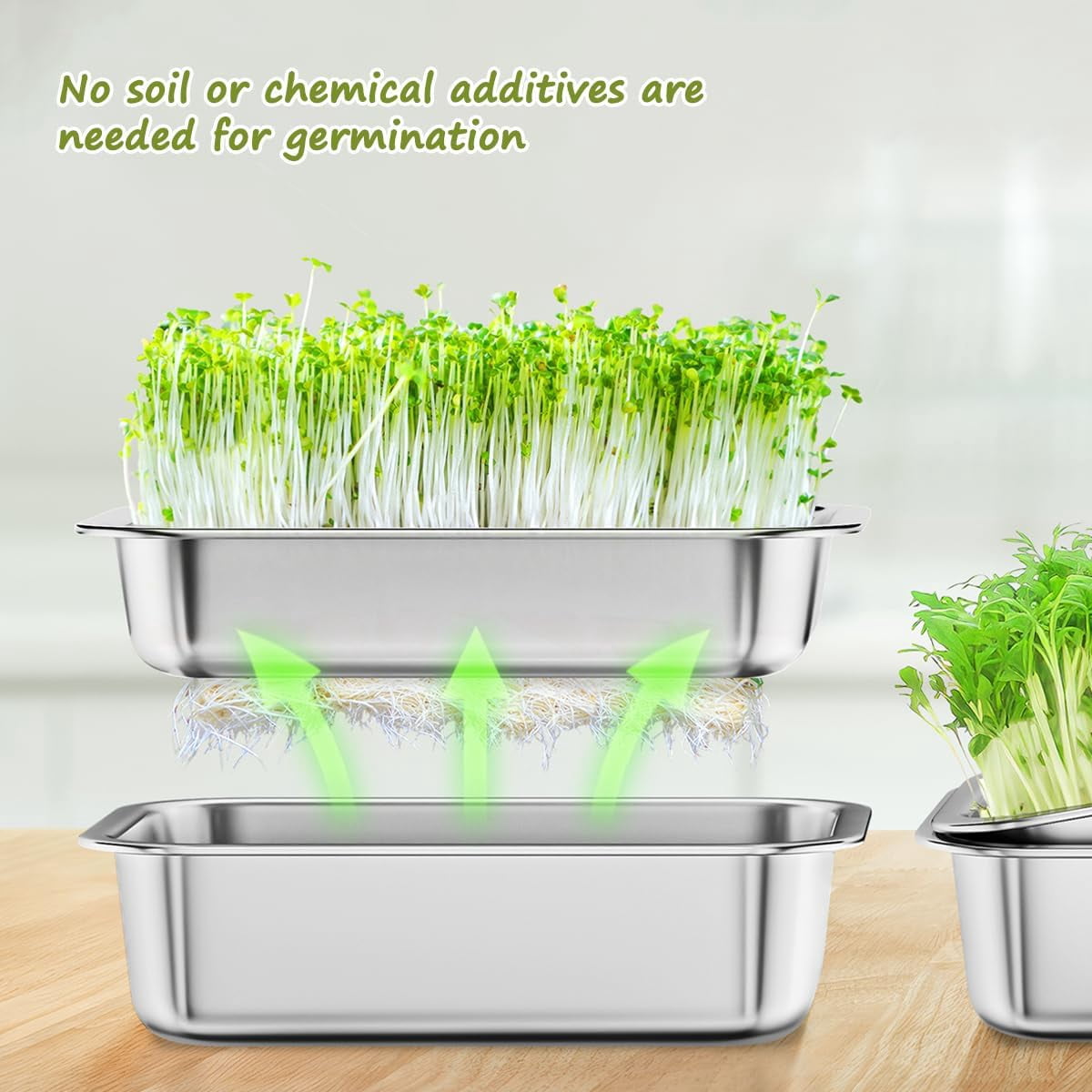 FANHAO 2-Pack Stainless Steel Plant Germination Trays, Indoors Plant Seedlings, Drainage Holes