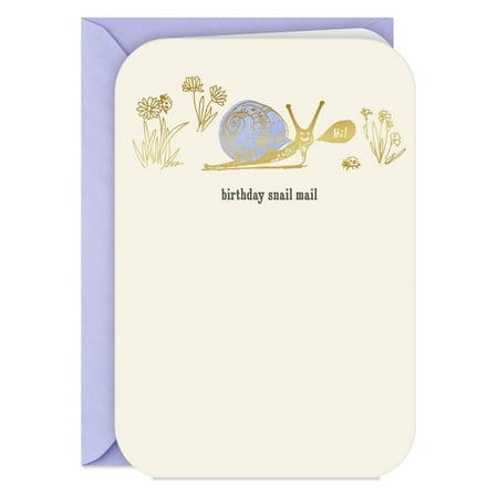 Hallmark Belated Birthday Card (Snail Mail)