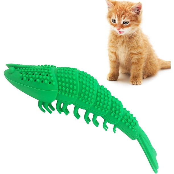 Jouet Pour Chat Interactif Caterpillar Design Peluche Dents Propres Jouet À  Mâcher Jouets Interactifs Pour Chat Jouet D'exercice Pour Animaux De Compa