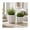 White, variant on Round Flower Pots for Home Decor - Stoneware Ceramic Heart-Embossed Planters for Outdoor and Indoor Plants - Plant Pots for Garden Spaces, Patio, and Entryway - Set of 2, 8", 6", White & Ivory