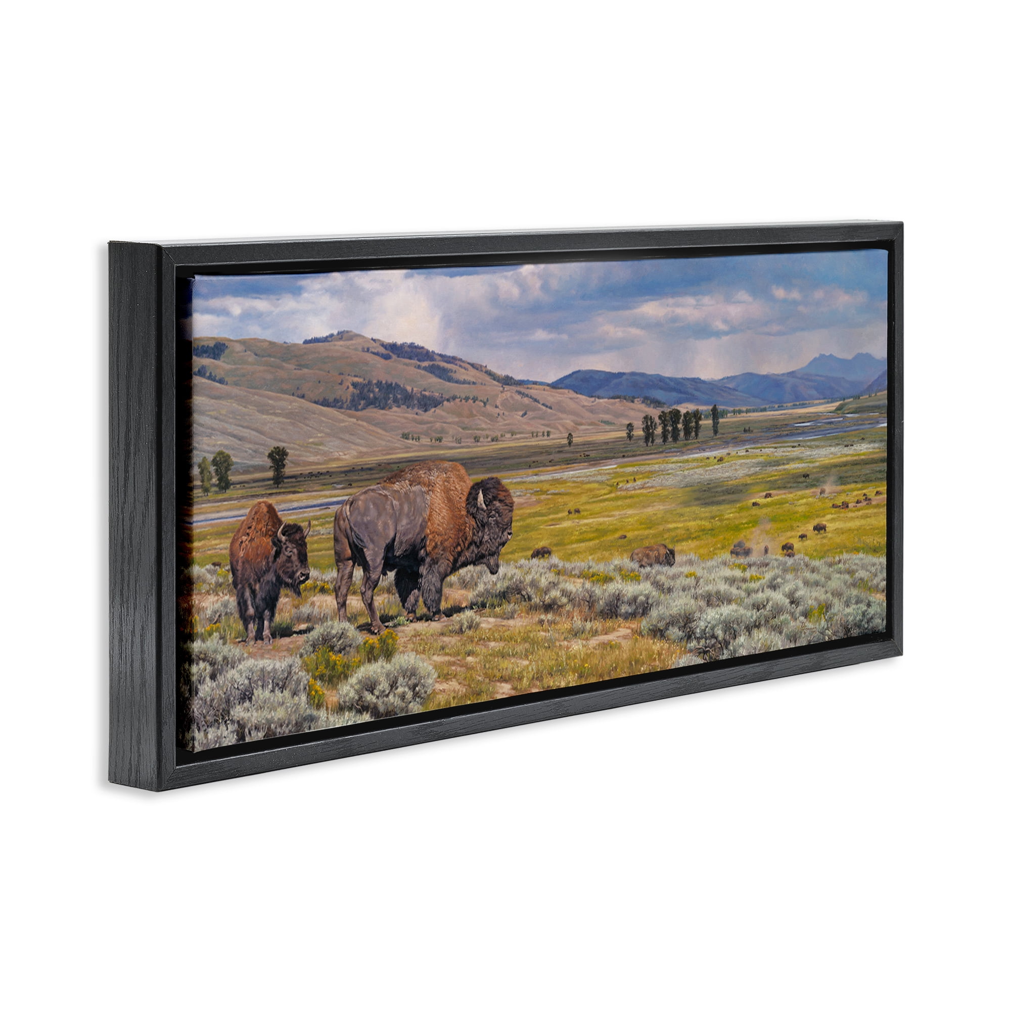 Stupell Industries Roaming Southwestern Bison Landscape Painting Black Floater Framed Art Print Wall Art, 31 x 14