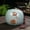 1, variant on 700ml Large Pottery Vintage Lotus Jar Tight Seal Container Ceramics Pot Elegance Leak-Proof Pet Ashes Urn