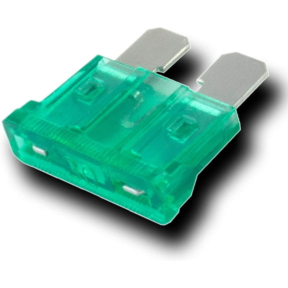 100 Pack 30 AMP ATC/ATO Standard Regular Fuse Blade 30A Car Truck Boat Marine RV