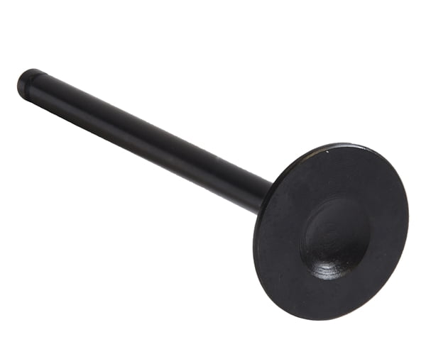 VALVE 1 INT GM 1.6L DOH